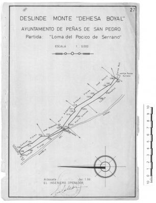 Pulsa para ver la imagen a tamaño completo