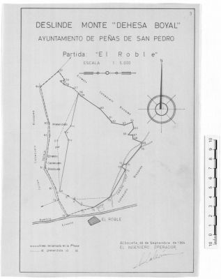 Pulsa para ver la imagen a tamaño completo